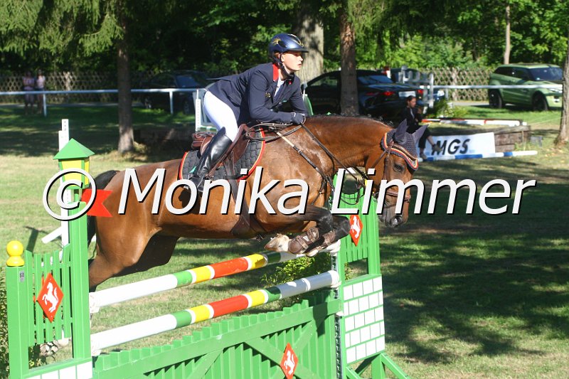 308M2658_Electra_Stil Mx.JPG